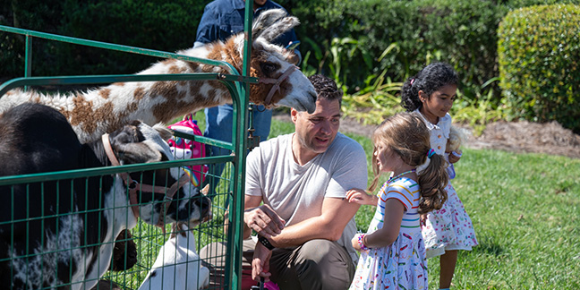 Enjoying the animals at St. Matthew Church