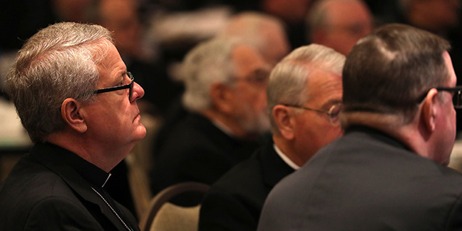 US bishops pass new youth, young adult pastoral framework