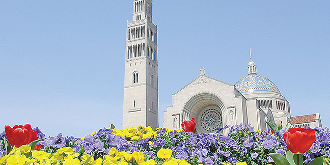 National Shrine of the Immaculate Conception designated a Jubilee Year site